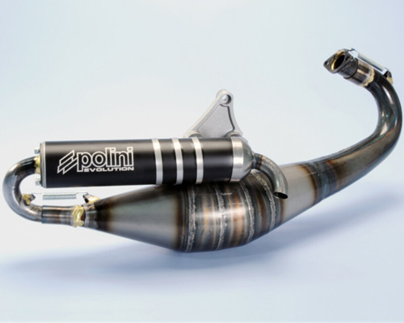 POLINI