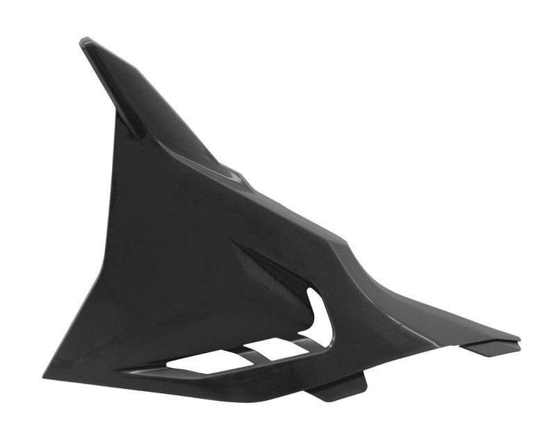 RACETECH Airbox Seitenverkleidung