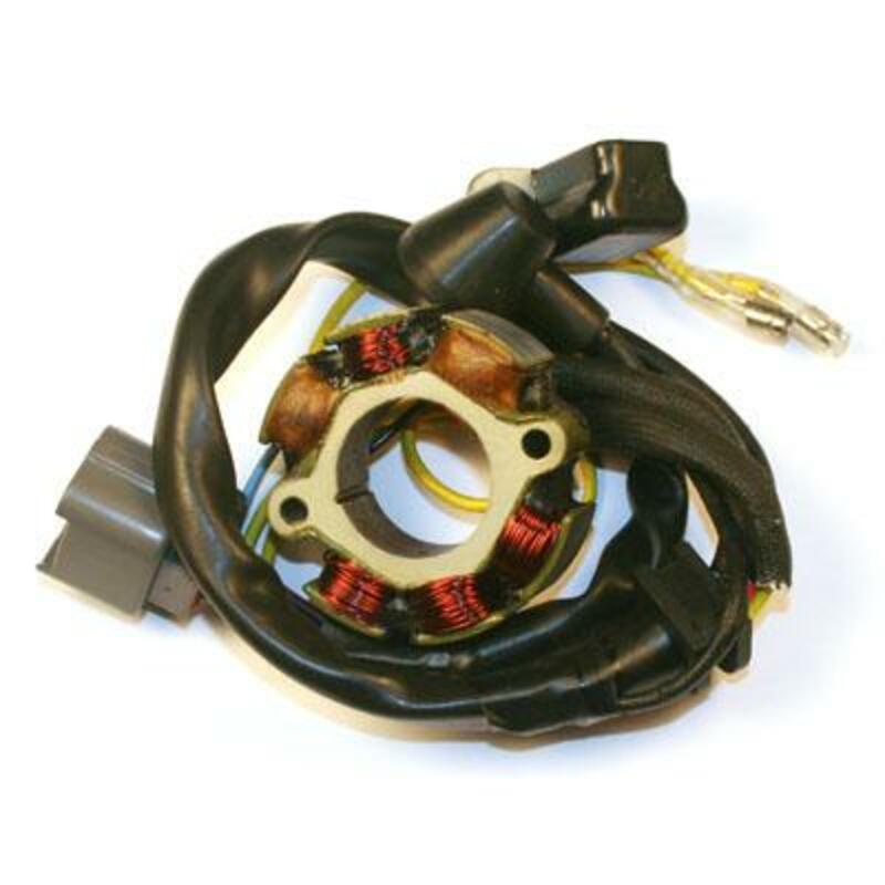 ELECTROSPORT Stator mit Magnetspule - passend für Suzuki RM-Z250 ELECTROSPORT Stator mit Magnetspule - passend für Suzuki RM-Z250