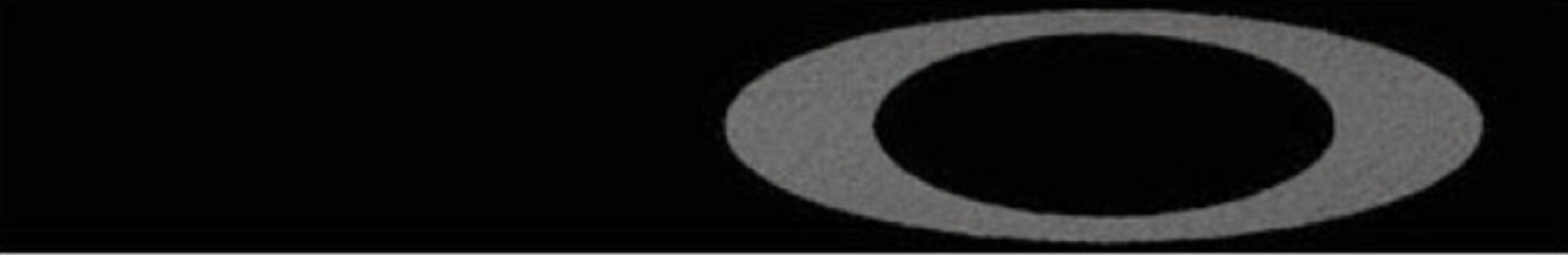 OAKLEY L Frame MX Goggle Carbon Fiber Clear Lens