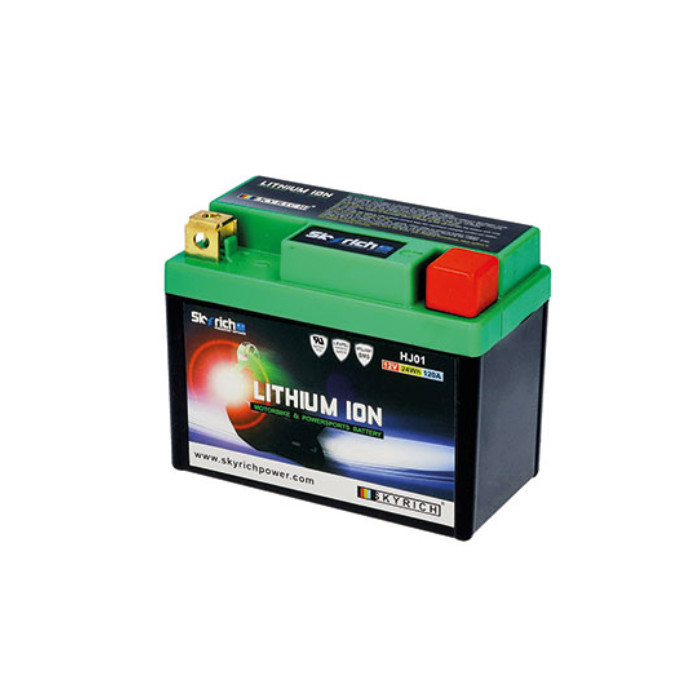 Batterie SKYRICH HJ01-FP LITHIUM-IONEN Batterie SKYRICH HJ01-FP LITHIUM-IONEN