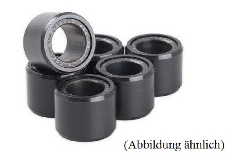 Variator-Rollen 13,0 g - 18 x 14 mm Set mit 6 Stück