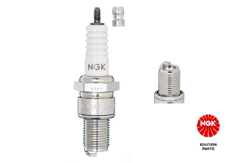 Zündkerze NGK B8EG [3430] Standard