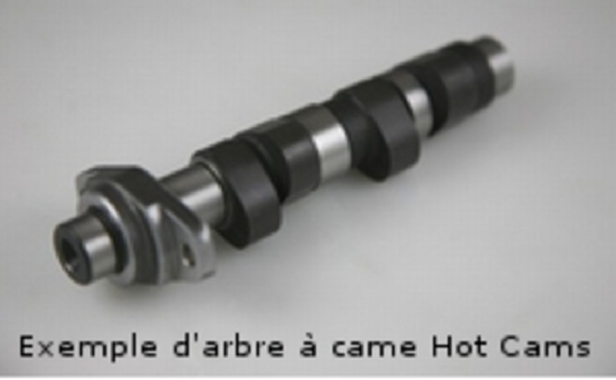 HOT CAMS Nockenwelle - Stage 1 Polaris