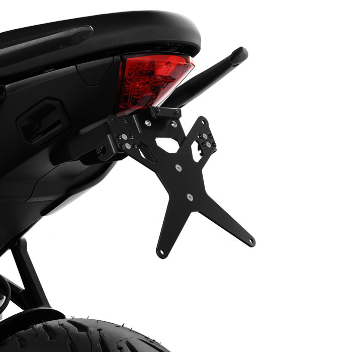 Kennzeichenhalter Kompatibel mit TRIUMPH Tiger Sport 660 -24