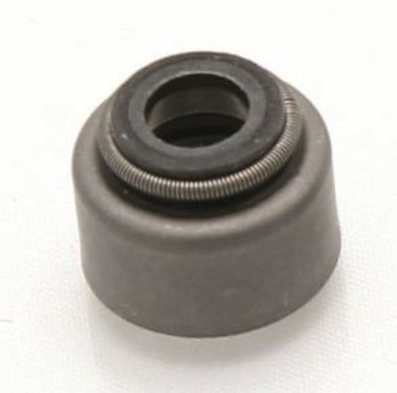 CENTAURO Ventilschaftdichtung - Set mit 10 Stk.