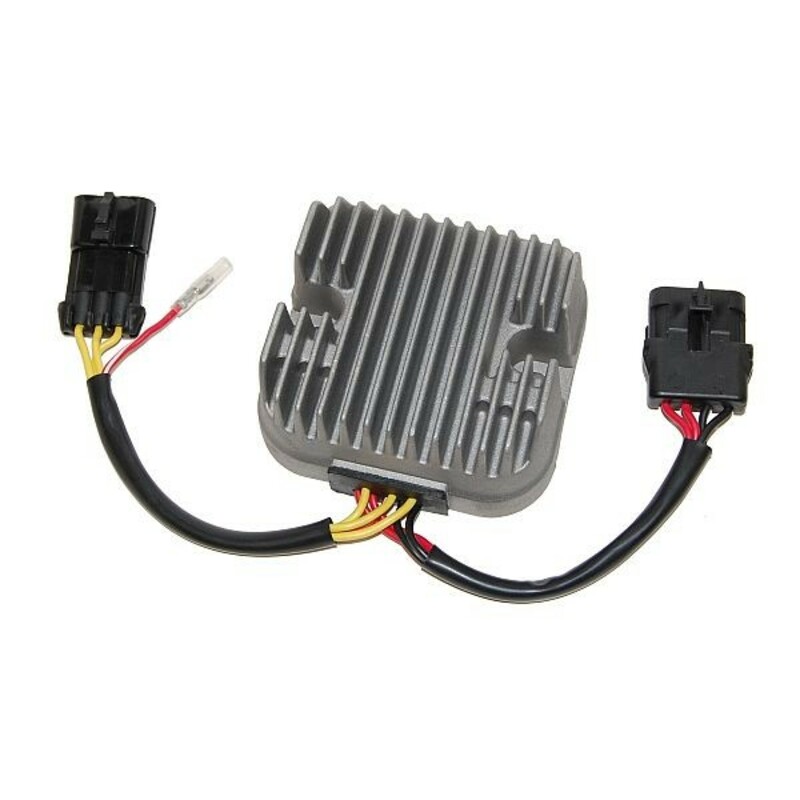 ELECTROSPORT Regler - Polaris