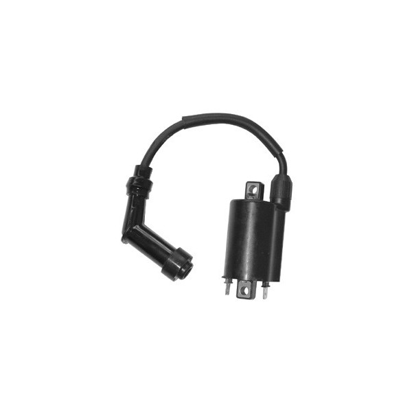 Zündspule passend für Aprilia, passend für Benelli, passend für DAELIM, passend für Kymco passend für Malaguti, MBK, passend für Yamaha 12V / 2,7 OHM
