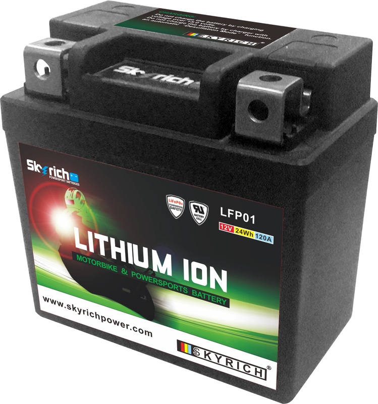 SKYRICH Lithium-Ionen-Batterie - LFP01 SKYRICH Lithium-Ionen-Batterie - LFP01