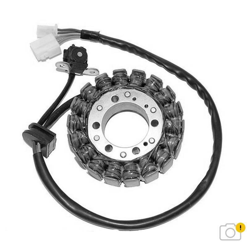 ELECTROSPORT Stator - passend für Suzuki 650 Gladius