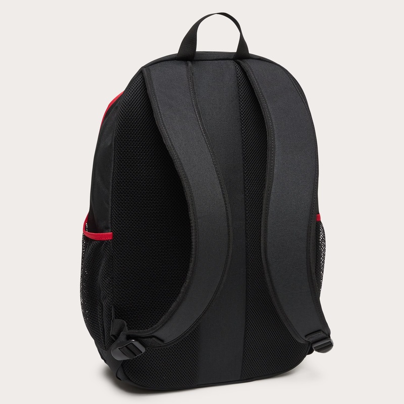 OAKLEY Rucksack Enduro 4.0