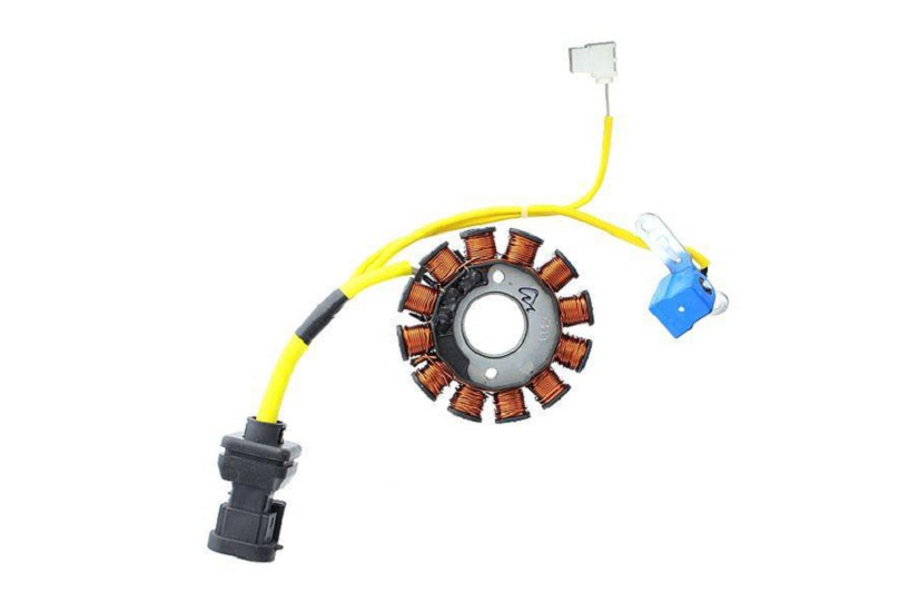 ELECTROSPORT Stator ESG 194 passend für Aprilia-Vespa-passend für Piaggio ELECTROSPORT Stator ESG 194 passend für Aprilia-Vespa-passend für Piaggio