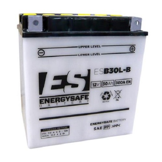 Batterie ENERGYSAFE ESB30L-B (CP) mit Säurepack 12V/30AH (10 Std.) [168x132x176] CCA=300A (2 Jahre Garantie - s. Artikeltext)