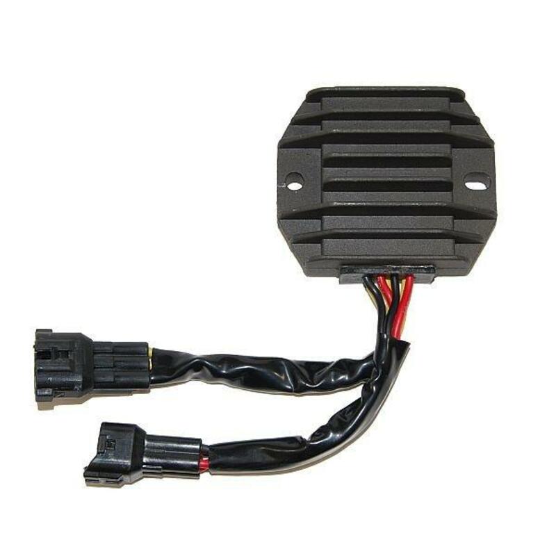 ELECTROSPORT Regler - Polaris