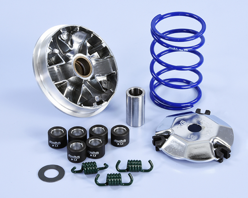 POLINI Hi-Speed Variator
