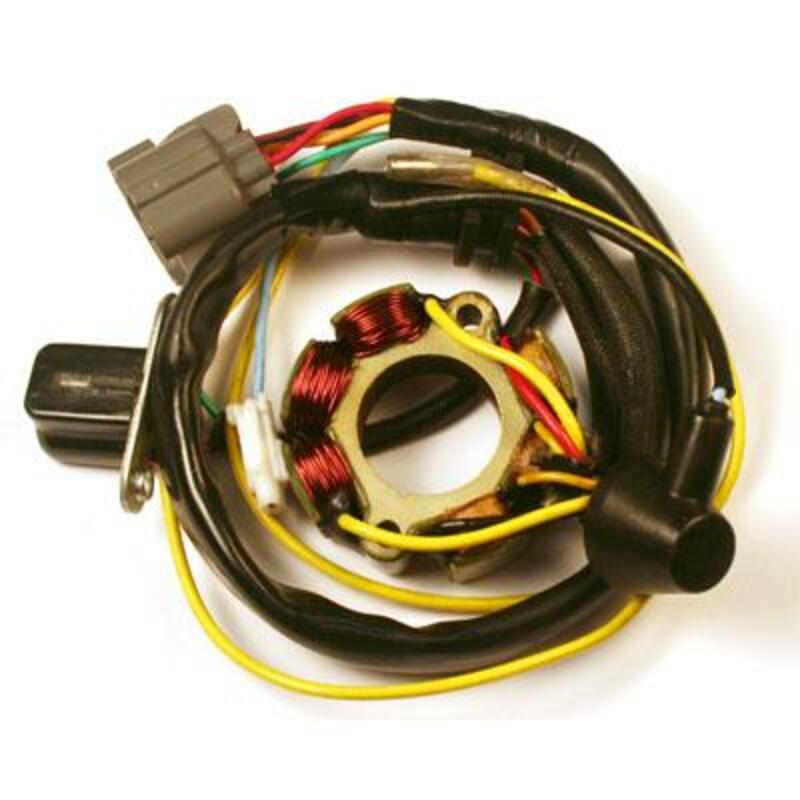 ELECTROSPORT Stator mit Magnetspule - passend für Suzuki RM-Z250 ELECTROSPORT Stator mit Magnetspule - passend für Suzuki RM-Z250
