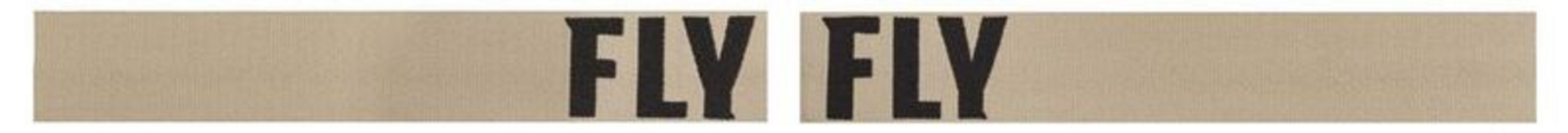 FLY RACING Focus Sand Goggle Khaki/Brown W/ Dark Smoke Lens
