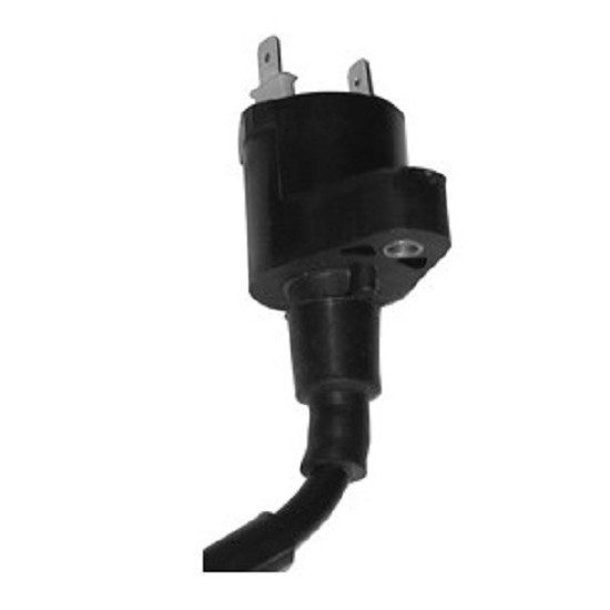 Zündspule für Adiva, passend für Aprilia, passend für Benelli, Betamotor, BSV, passend für Cagiva, passend für DAELIM, Derbi, passend für Garelli, passend für Gilera, passend für Honda passend für Kymco, passend für Malaguti, MBK, passend für Peugeot, PGO Zündspule für Adiva, passend für Aprilia, passend für Benelli, Betamotor, BSV, passend für Cagiva, passend für DAELIM, Derbi, passend für Garelli, passend für Gilera, passend für Honda passend für Kymco, passend für Malaguti, MBK, passend für Peugeot, PGO