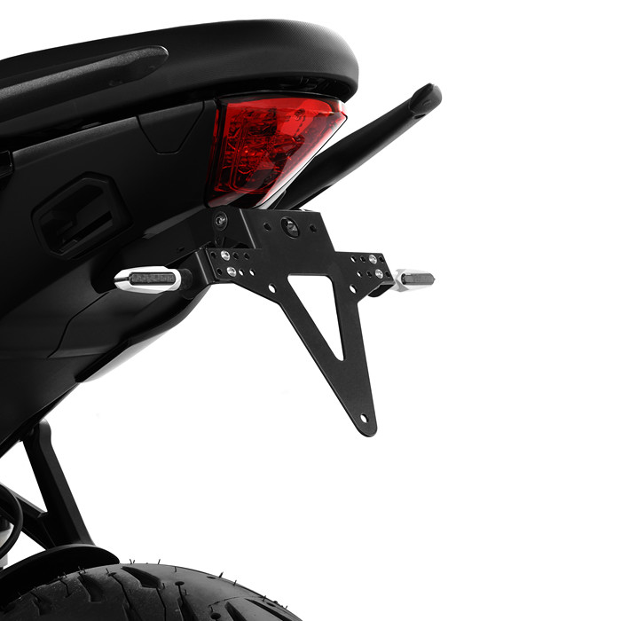 Kennzeichenhalter Kompatibel mit TRIUMPH Tiger Sport 660 -24